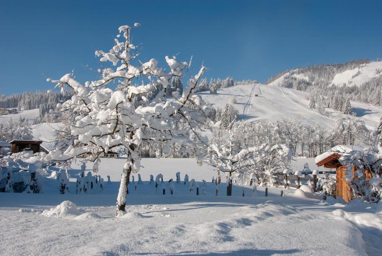 Das Glaagut - Familie Hain Hochfilzen Exteriér fotografie